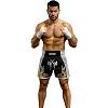 FIGHTERS - Thaibox Shorts / Elite Fighters / Schwarz-Weiss / XS